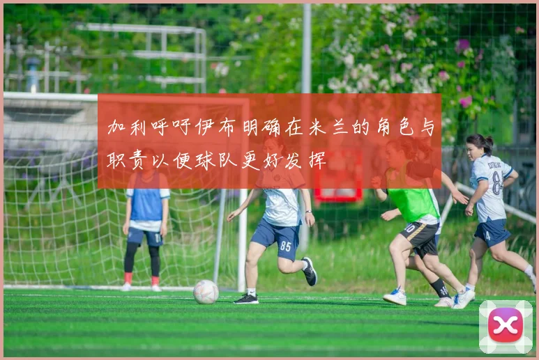 加利呼吁伊布明确在米兰的角色与职责以便球队更好发挥