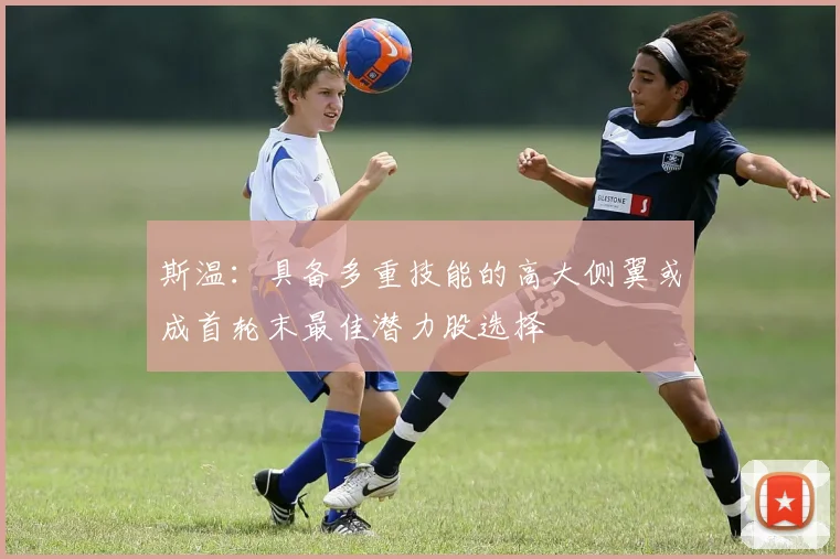 斯温：具备多重技能的高大侧翼或成首轮末最佳潜力股选择