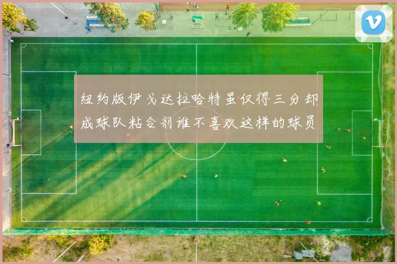 纽约版伊戈达拉哈特虽仅得三分却成球队粘合剂谁不喜欢这样的球员